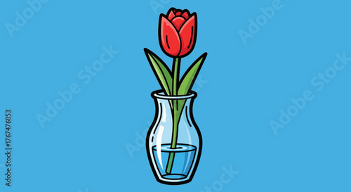 Red tulip in glass vase still life against bright aquamarine background composition