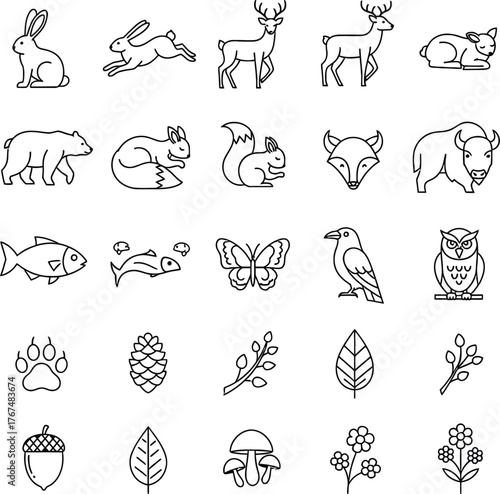 Collection of hand drawn forest animals and nature elements in outline style