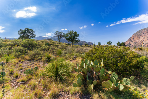 Scenic View at Big Bend Nationalpark, Texas, USA