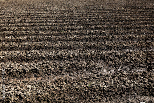 Konstfotografi Plowed field with dark, fertile soil ready for farming