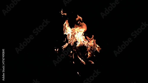 Burning fire. Bonfire.