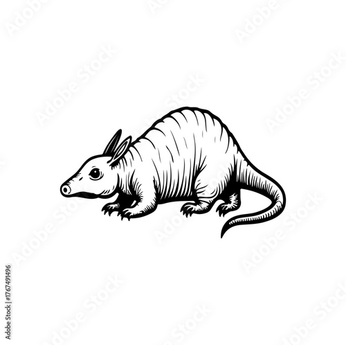 vector illustration of a cartoon zebra
