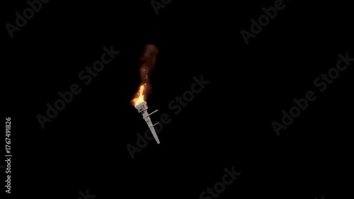 3d animation Torchlight
