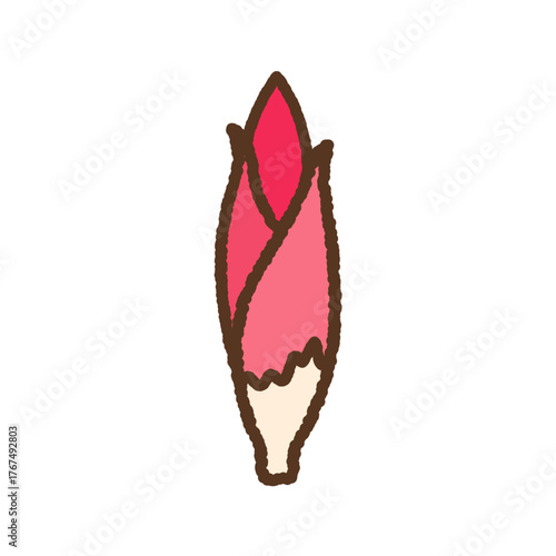 手書き風のシンプルアイコンイラスト　ミョウガ