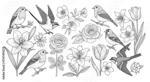 Elegant botanical illustration featuring birds perched among assorted flowers in monochrome