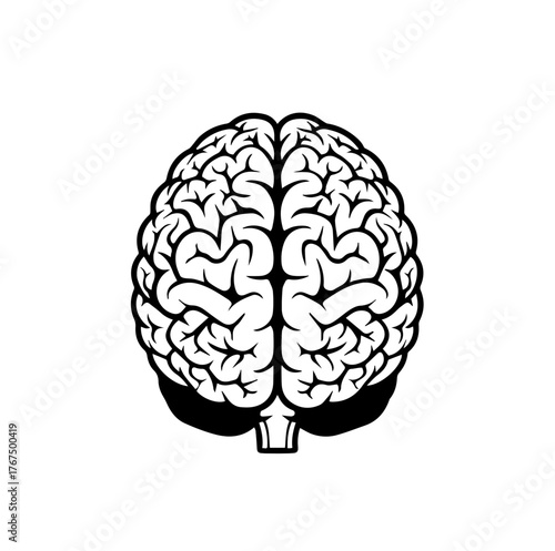 detailed vector illustration of the human brain, viewed from above, showcasing its lobes, sulci, gyri, and superficial blood vessels in a stylized manner, set against a light blue shield background