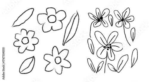 Hand drawn floral elements collection simple flower and leaf sketch designs for art
