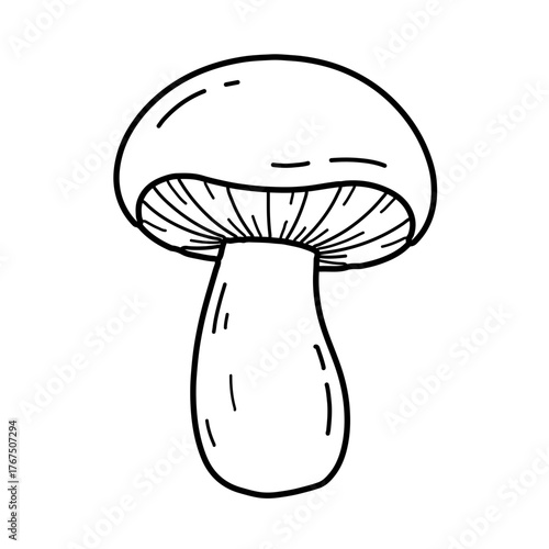 Simple Black and White Illustration of a Detailed Mushroom