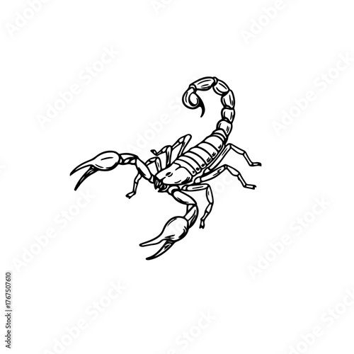 Detailed Line Art Illustration of a Majestic Scorpion