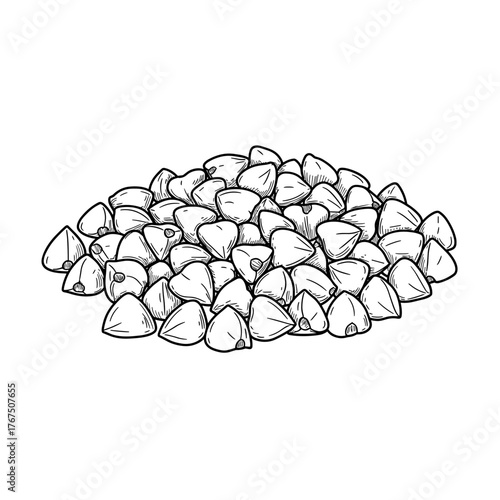 Hand-Drawn Buckwheat Pile: Detailed Black and White Illustration of Grains