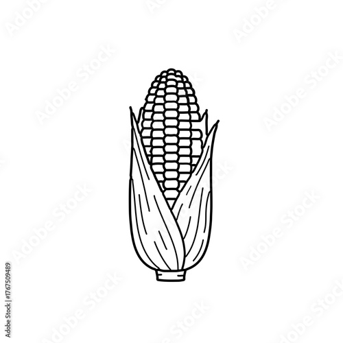 Simple Black Line Art Illustration of an Ear of Corn