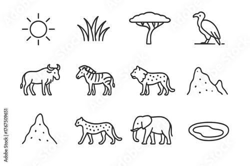 Savanna Icon Set. Savanna food chain. Line outline icon set of Savanna food chain: sun, grass, acacia tree,