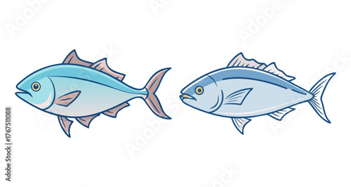 Two amberjack fish in a lively hand-drawn style