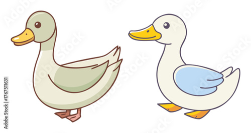 Two adorable cartoon ducks standing side by side fun