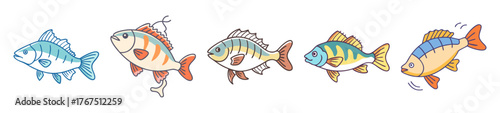 Collection of perch fish colorful aquatic life underwater marine creatures