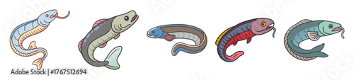 Collection of intricately detailed snakehead fish anatomical drawings in various colors