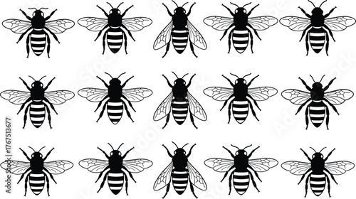 Bee silhouette vector illustration, black and white, insect icons, honeybee design, symmetrical wings, pollinator graphics, entomology theme, nature insect collection