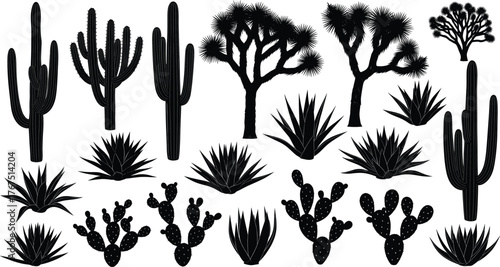 Desert plant silhouette vector illustration, black and white, cactus and agave icons, wild flora shapes, nature theme, botanical graphic, arid landscape design
