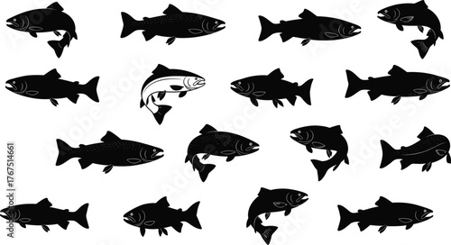 Fish silhouette vector illustration, black and white, unique fish concept, pattern recognition, odd one out, minimal design, underwater animal icons