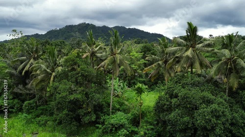 Wallpaper Mural Lush Green Palm Trees and Tropical Jungle in Sidemen, Bali Torontodigital.ca