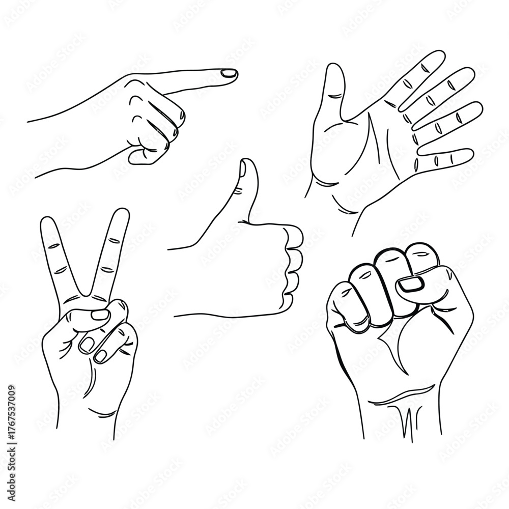 Fototapeta premium Minimalist flat vector hand gestures set, thumbs up, peace sign, pointing finger, open palm, fist, solid color illustration line art