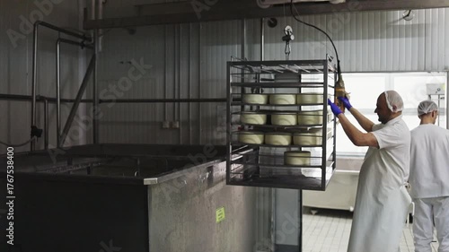 Cheesemaker operating a crane to slowly submerge a large metal rack filled with fresh cheese wheels into a brining tank inside an industrial food processing factory for salting