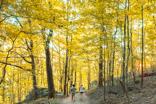 autumn in the forest