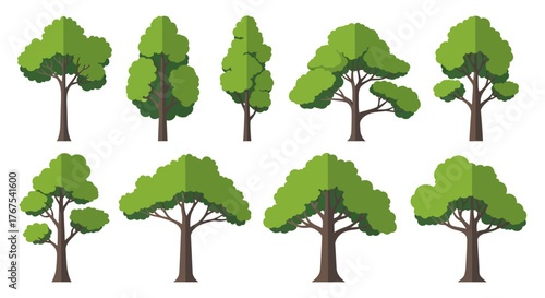Stylized trees collection presenting diverse vector tree illustrations for nature themed design