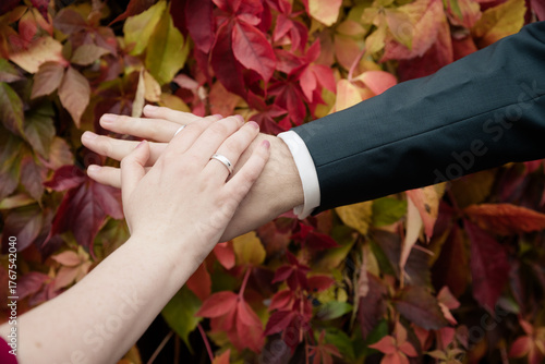Hände mit Eheringen vor buntem Herbstlaub – Symbol für Liebe und Verbundenheit

Keywords: