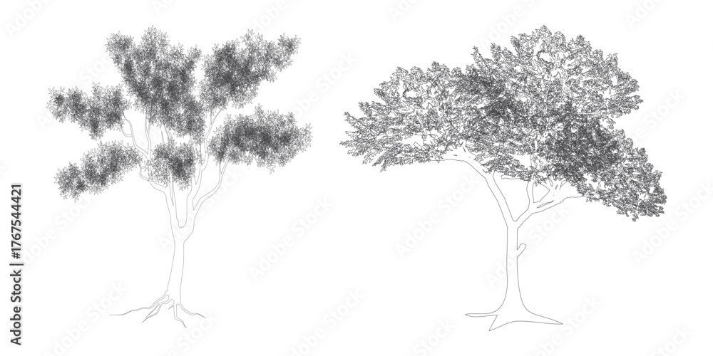 Fototapeta premium Set of Minimal CAD Tree Elements – Modern Line Art Symbols for Landscape and Architectural Design | Vector Foliage Outline Illustration
