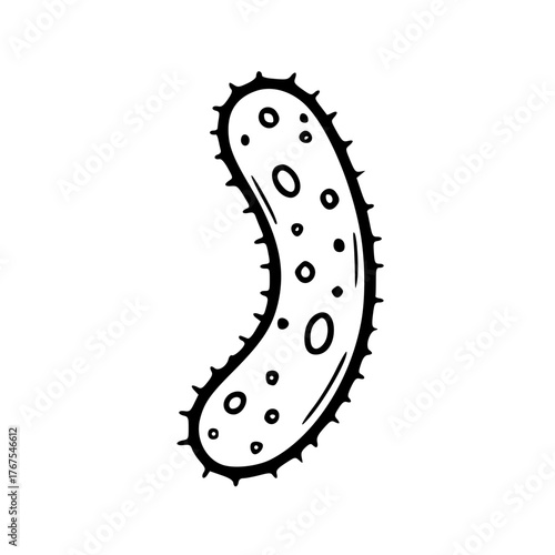 Bacillus rod shape bacteria microbiology infectious pathogen