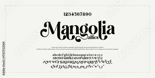 Elegant Font Uppercase Lowercase and Number. Classic Lettering Minimal Fashion Designs. Typography modern serif fonts regular decorative vintage concept. vector illustration