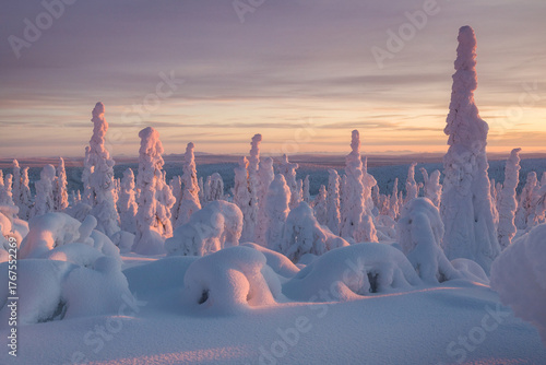Kiruna, Sweden Skandynawia, Northern Europe