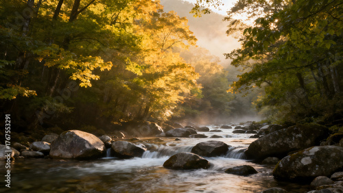Autumn forest stream with sunlight