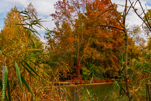 Backwater of Koros river
