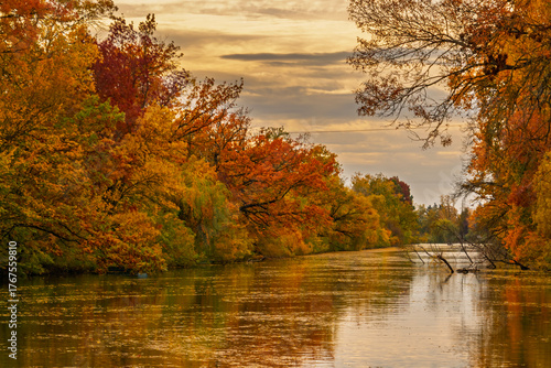 Backwater of the Koros river at Szarvas