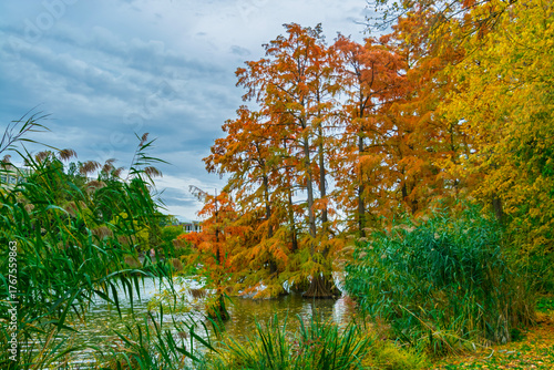 Backwater of the Koros river at Szarvas