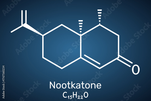Nootkatone molecule. Grapefruit aroma sesquiterpene ketone, flavor and fragrance ingredient, insect repellent. Dark blue background. Vector illustration
