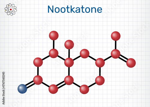 Nootkatone molecule. Grapefruit aroma sesquiterpene ketone, flavor and fragrance ingredient, insect repellent. Sheet of paper in a cage. Molecular model. Vector Illustration