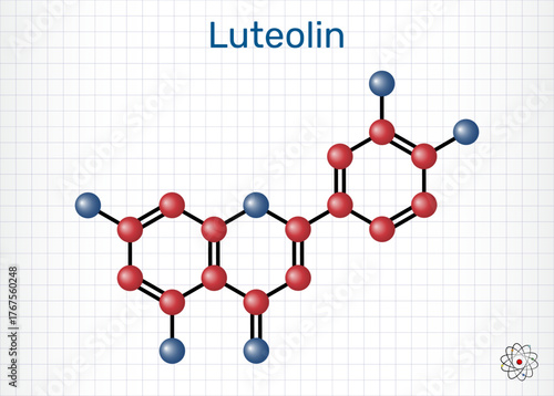 Luteolin molecule. Citrus and herb bioflavonoid, antioxidant and antiinflammatory. Sheet of paper in a cage. Molecular model. Vector Illustration
