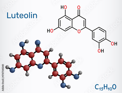 Luteolin molecule. Citrus and herb bioflavonoid, antioxidant and antiinflammatory. Structural chemical formula, molecule model. Vector illustration