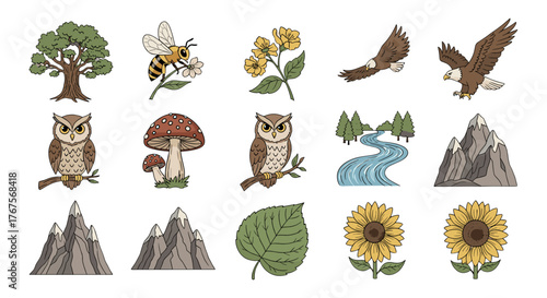 A charming collection of nature-themed illustrations featuring a majestic oak tree, a busy bee collecting nectar from a flower, a vibrant yellow wildflower, a soaring eagle, a wise owl perched on a
