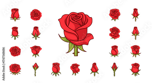 Collection of red roses in various stages of bloom, from tight buds to fully opened flowers, set against a stark black background, showcasing the intricate details of petals and stems with vibrant