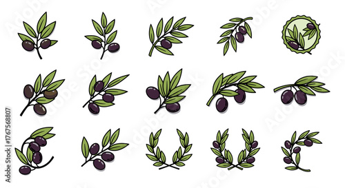 Collection of stylized olive branches and wreaths with ripe purple olives and green leaves, isolated on a black background, representing harvest, Mediterranean cuisine, and natural beauty in a