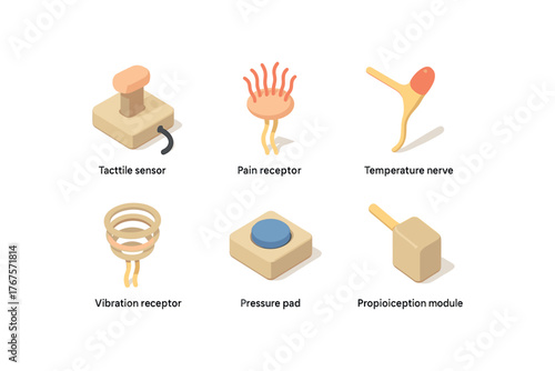 isometric icon items isolated on white background sensation tactile sensor sensation pain receptor sensation temperature nerve sensation vibration receptor sensation pressure pad sensation