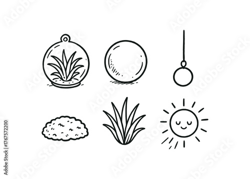hand drawn cute doodle style line isolated on white background: air plant globe glass sphere hanging string moss base spiky leaves sunlight