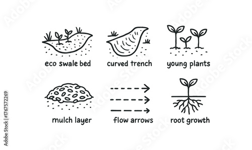 hand drawn cute doodle style line isolated on white background: eco swale bed curved trench young plants mulch layer flow arrows root growth