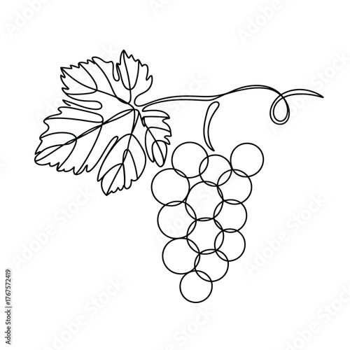 Simple line drawing of a grape cluster and leaf