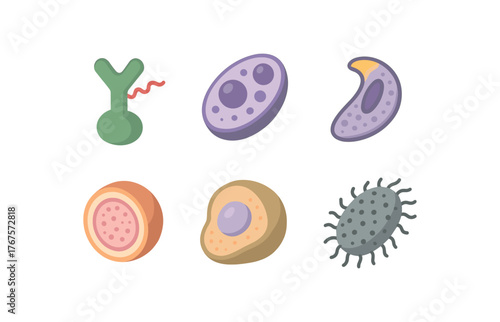 isometric icon items isolated on white background parasitic infection vector saliva metalloprotease parasitic infection gametocyte development organelle parasitic infection merozoite apical