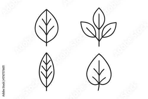 4 outline plant leaves natural origin components flat vector illustration style isolated on white background